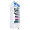 穗凌（SUILING） LG4-259系列商用立式冷柜直冷展示柜留样啤酒饮料冷藏保鲜冰柜